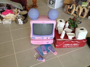 Minnie Mouse TV/DVD combo for sale at the hoarding 4 hope garage sale fundraiser