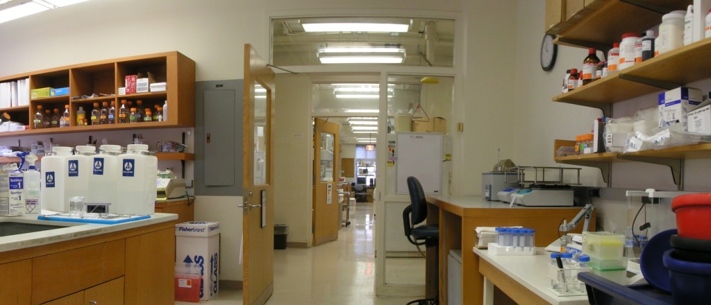 Dr. Zhou's Lab