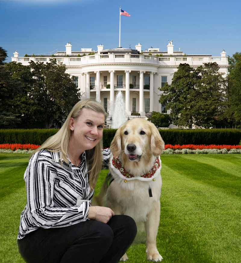 Penny with new friend Rolf, a seizure response dog with Canine Assistants